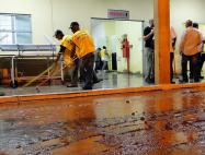 Diretores do Sismar foram ajudar após o alagamento