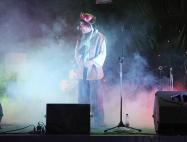 Festa à fantasia 2014